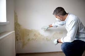 Best Mold Documentation for Insurance Claims  in Redland, TX